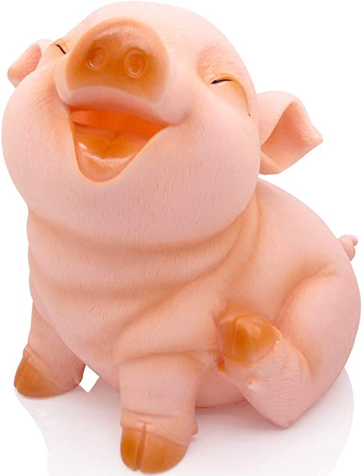 Shatterproof Piggy Bank