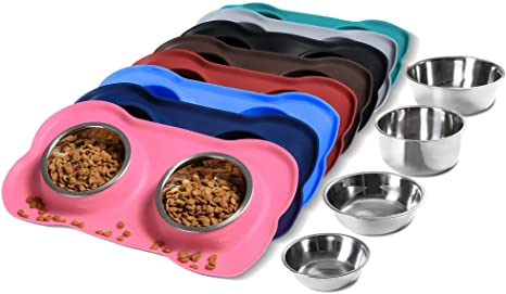 Pet Food and Water Bowl